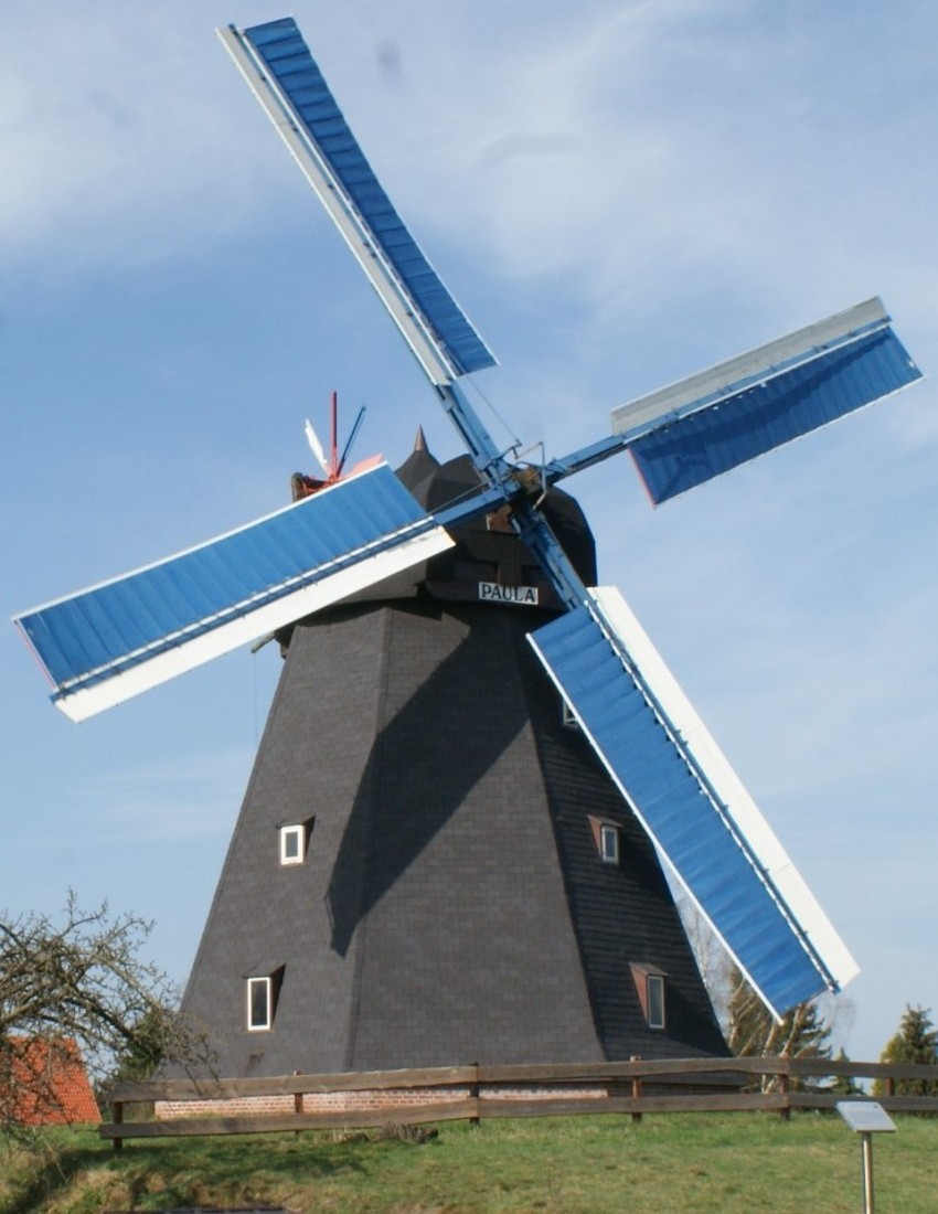 Ansicht der Steinhuder Windmühle